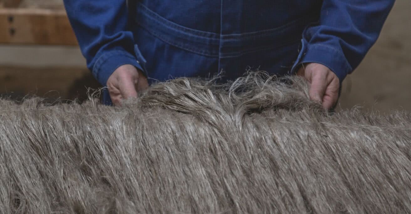 flax fiber production