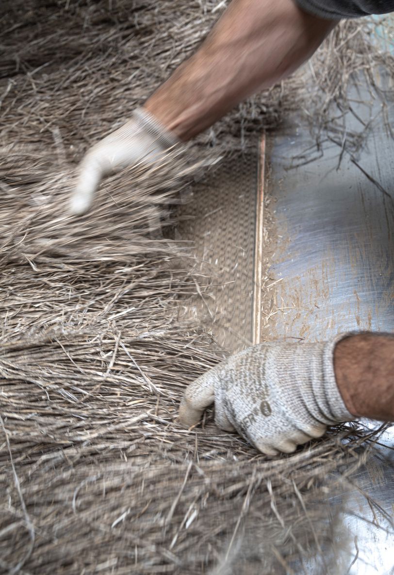 Responsabilité environnementale Lin européen - Plante 100% valorisée