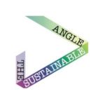 the sustainable angle logo