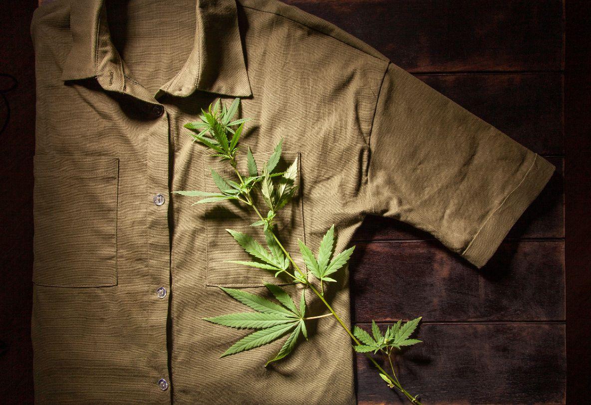 Uses of hemp fibers in the textile field