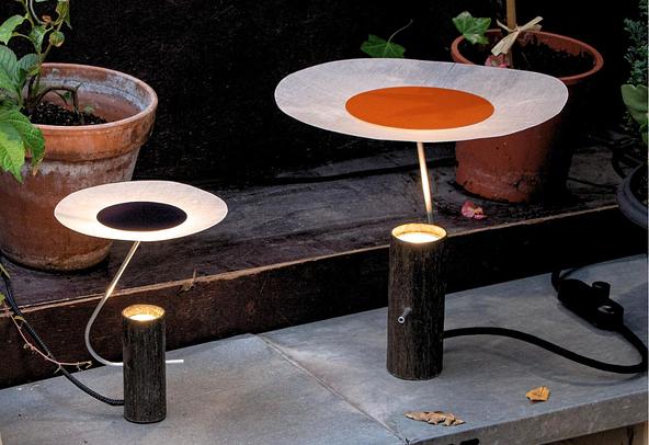 Pilea lighting, Florian Meca