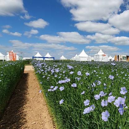 Lin'Ovation salon agricole - Arvalis