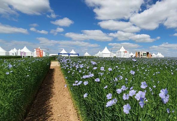 Lin'Ovation salon agricole - Arvalis