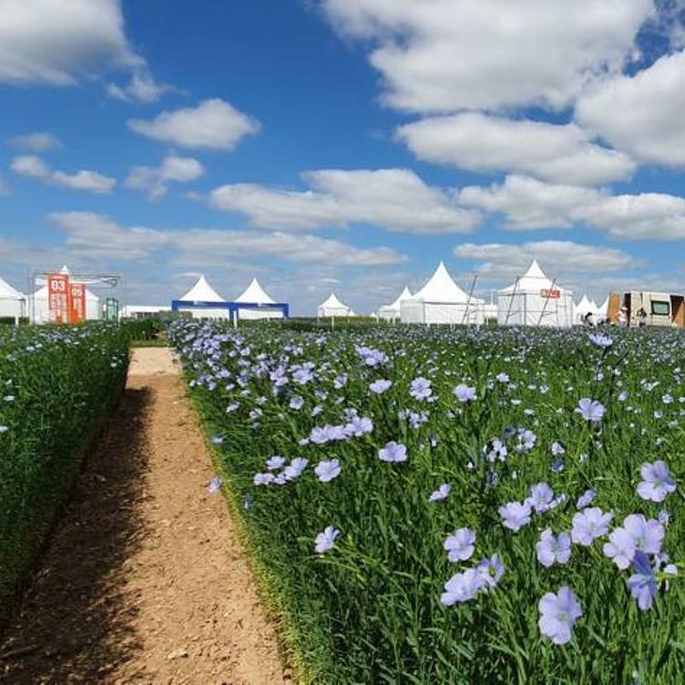 Lin'Ovation salon agricole - Arvalis