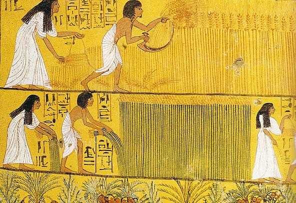 Découvrez l'évolution du lin à travers le temps