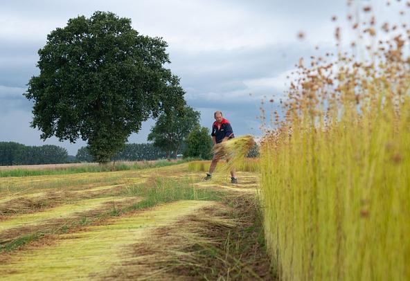 European Flax-Linen environmental impact